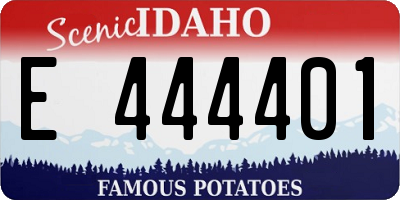 ID license plate E444401