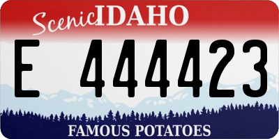 ID license plate E444423
