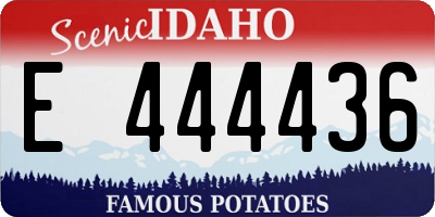ID license plate E444436