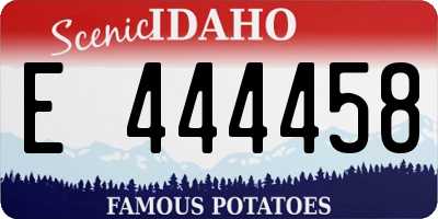 ID license plate E444458