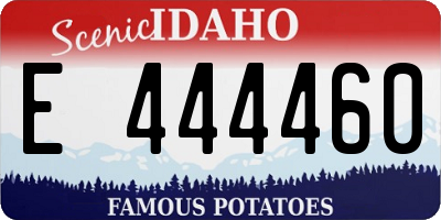 ID license plate E444460