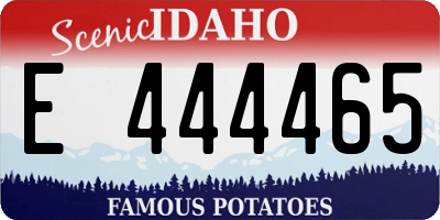 ID license plate E444465