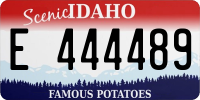 ID license plate E444489