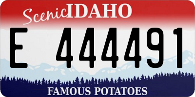 ID license plate E444491