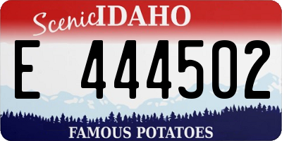 ID license plate E444502