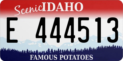 ID license plate E444513