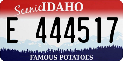 ID license plate E444517
