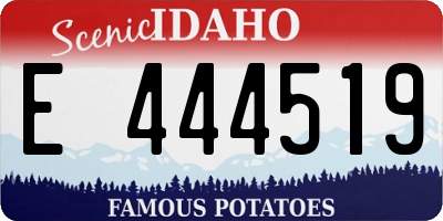 ID license plate E444519