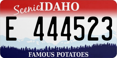 ID license plate E444523
