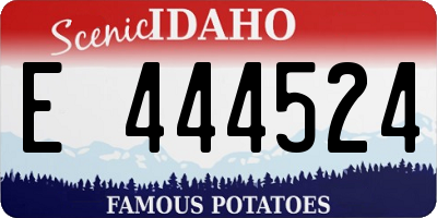 ID license plate E444524