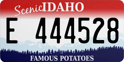 ID license plate E444528
