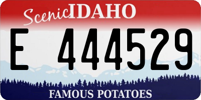 ID license plate E444529