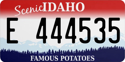 ID license plate E444535