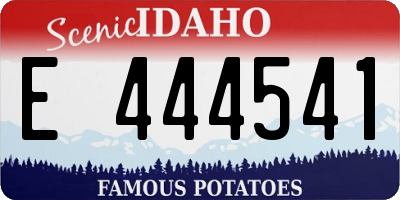 ID license plate E444541