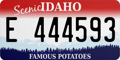 ID license plate E444593