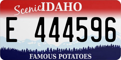 ID license plate E444596
