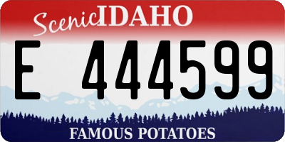 ID license plate E444599