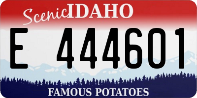 ID license plate E444601