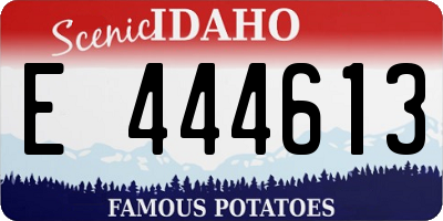 ID license plate E444613