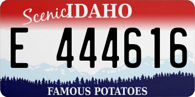 ID license plate E444616