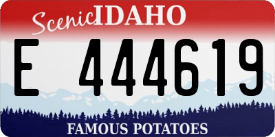 ID license plate E444619