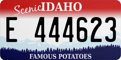ID license plate E444623