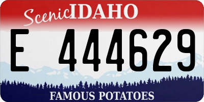 ID license plate E444629