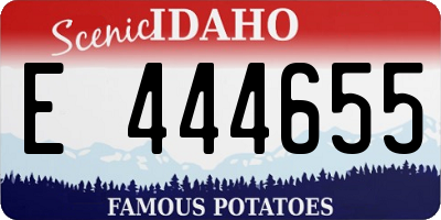 ID license plate E444655