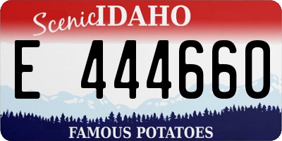 ID license plate E444660