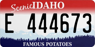 ID license plate E444673