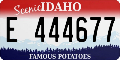 ID license plate E444677