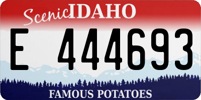 ID license plate E444693