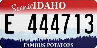 ID license plate E444713