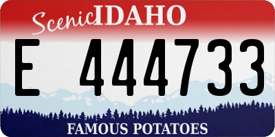 ID license plate E444733