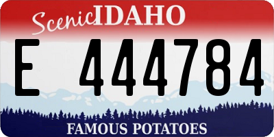 ID license plate E444784