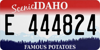 ID license plate E444824