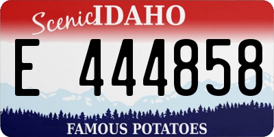 ID license plate E444858