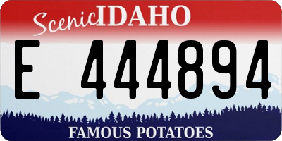 ID license plate E444894