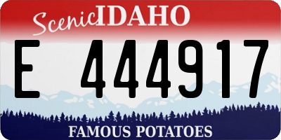 ID license plate E444917