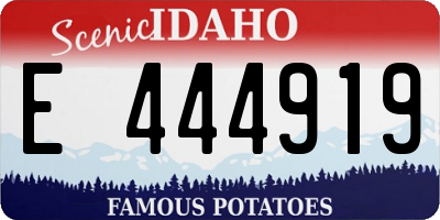 ID license plate E444919