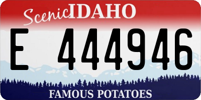 ID license plate E444946