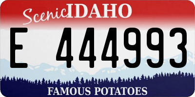 ID license plate E444993