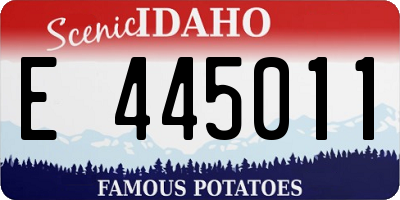 ID license plate E445011