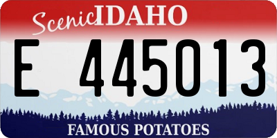 ID license plate E445013