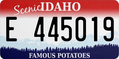 ID license plate E445019
