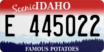 ID license plate E445022