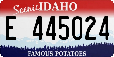 ID license plate E445024