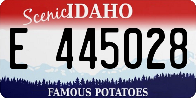 ID license plate E445028