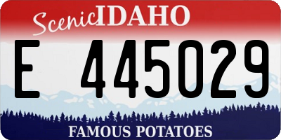 ID license plate E445029
