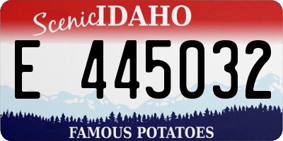 ID license plate E445032